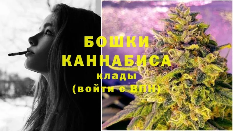 Канабис план  OMG ССЫЛКА  Ижевск  купить наркотики сайты 